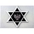 Эталон Евреи В ХХ Столетии ИБА63517 - фото 5