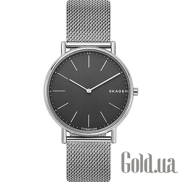 

Дизайнерские часы Skagen, Мужские часы SKW6483