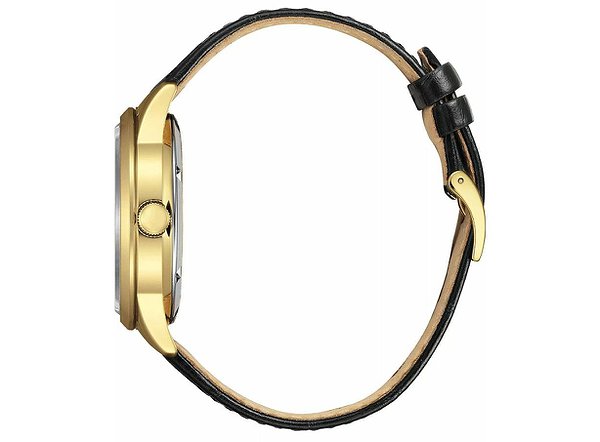 Citizen Мужские часы NY4059-09AC NY4059-09AC – изображение 2