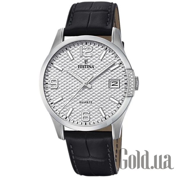 

Мужские часы Festina, Мужские часы Classic F16982/1