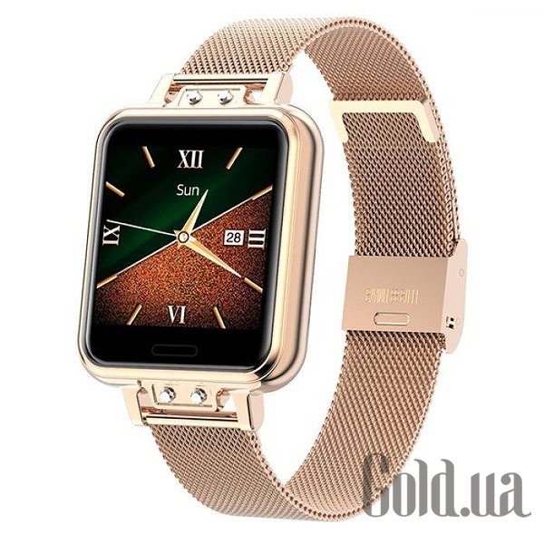 

Смарт-часы North Edge, Смарт часы Smart North Edge Alice Gold 2442
