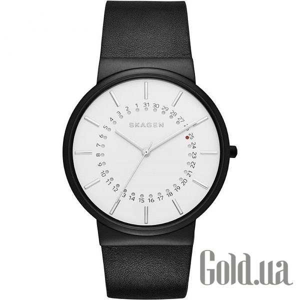 

Мужские часы Skagen, Мужские часы Ancher Mono SKW6243
