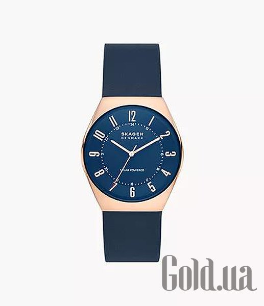 Купить Skagen Мужские часы SKW6834