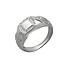 Мужское серебряное кольцо с куб. циркониями - фото 1
