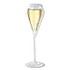 Vin Bouquet Набор бокалов для шампанского 2 шт. Термос FIA 363 - фото 2
