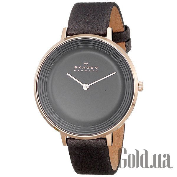 

Дизайнерские часы Skagen, SKW2216