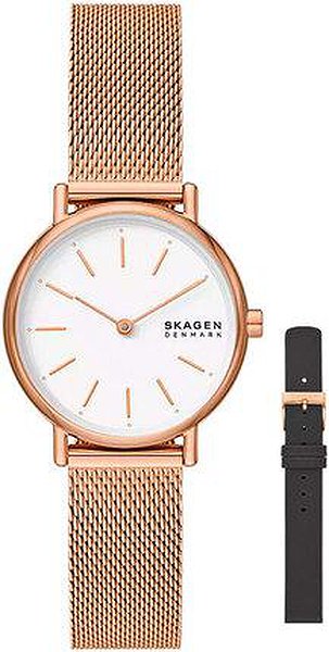 Skagen Женские часы SKW1153SET