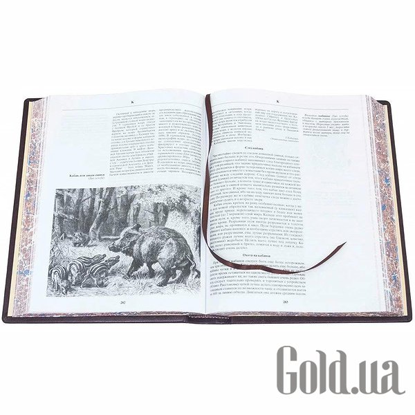 Елітні книги Україна Енциклопедія полювання 0501002004